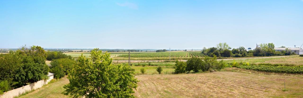 Panorama Apartmanok Villány Exterior foto